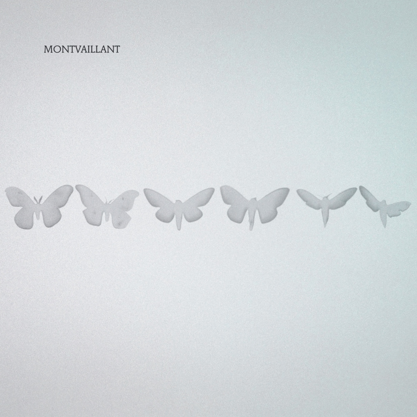 Butterflies and fairies cover
